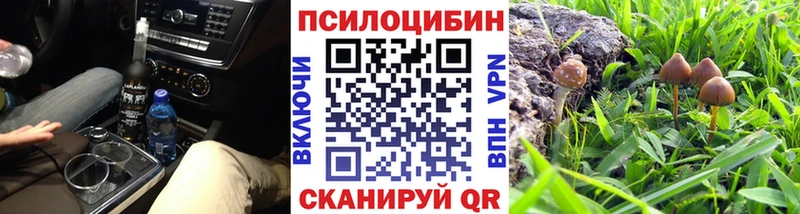 Галлюциногенные грибы мицелий  где можно купить   Зеленогорск 