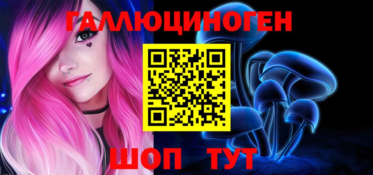 Зеленогорск  Галлюциногенные грибы Cubensis  Вход с VPN 